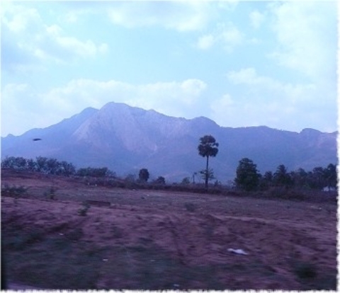 Images/cochin 371.jpg